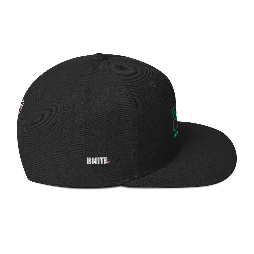 Whole Crew Healing Snapback Hat