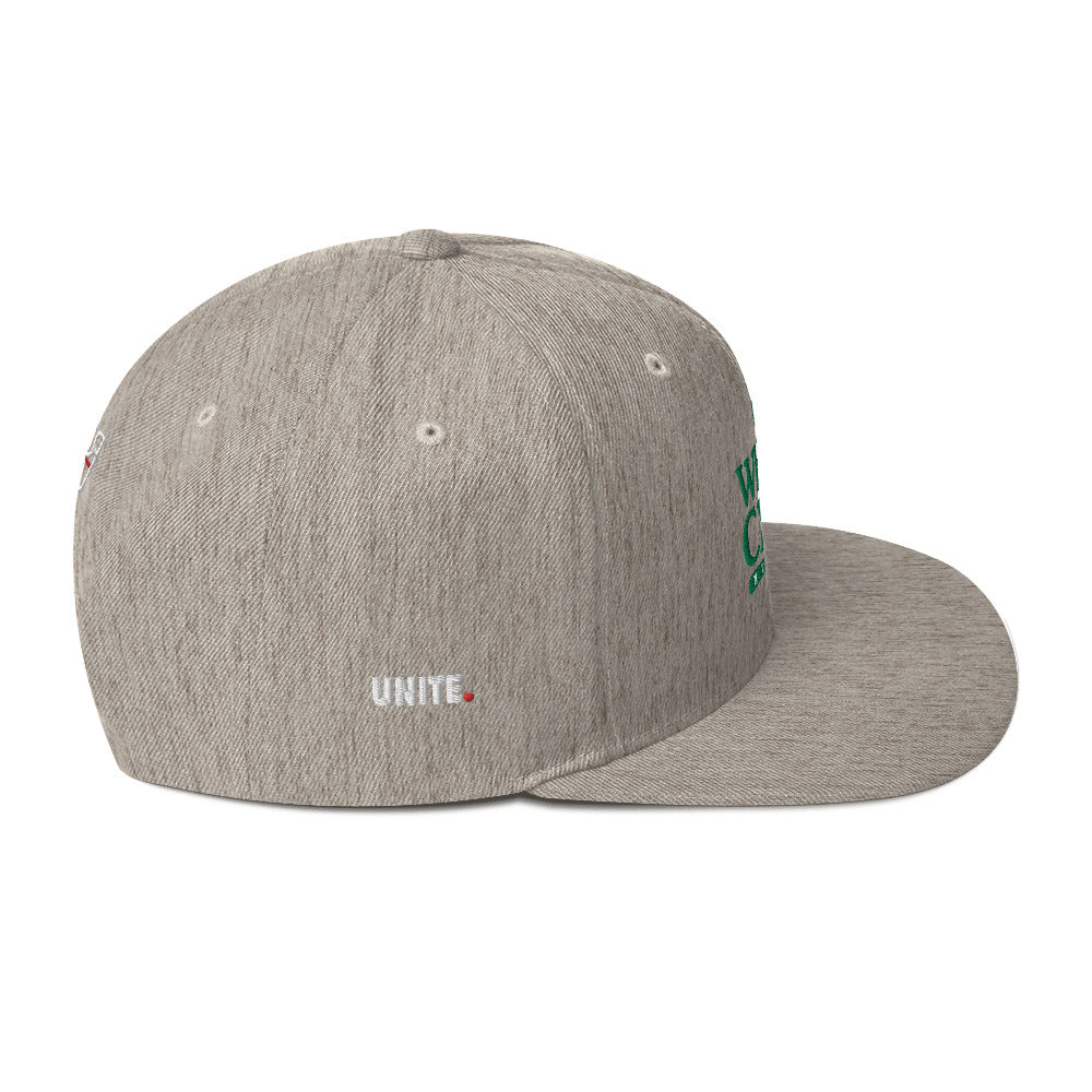 Whole Crew Healing Snapback Hat